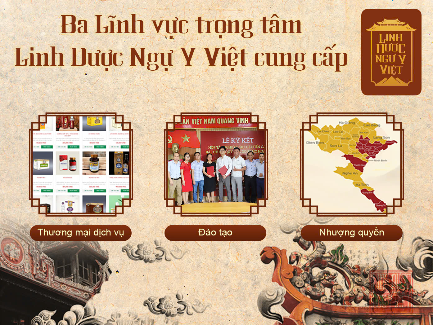 ba-linh-vuc-trong-tam-cua-linh-duoc-ngu-y-viet