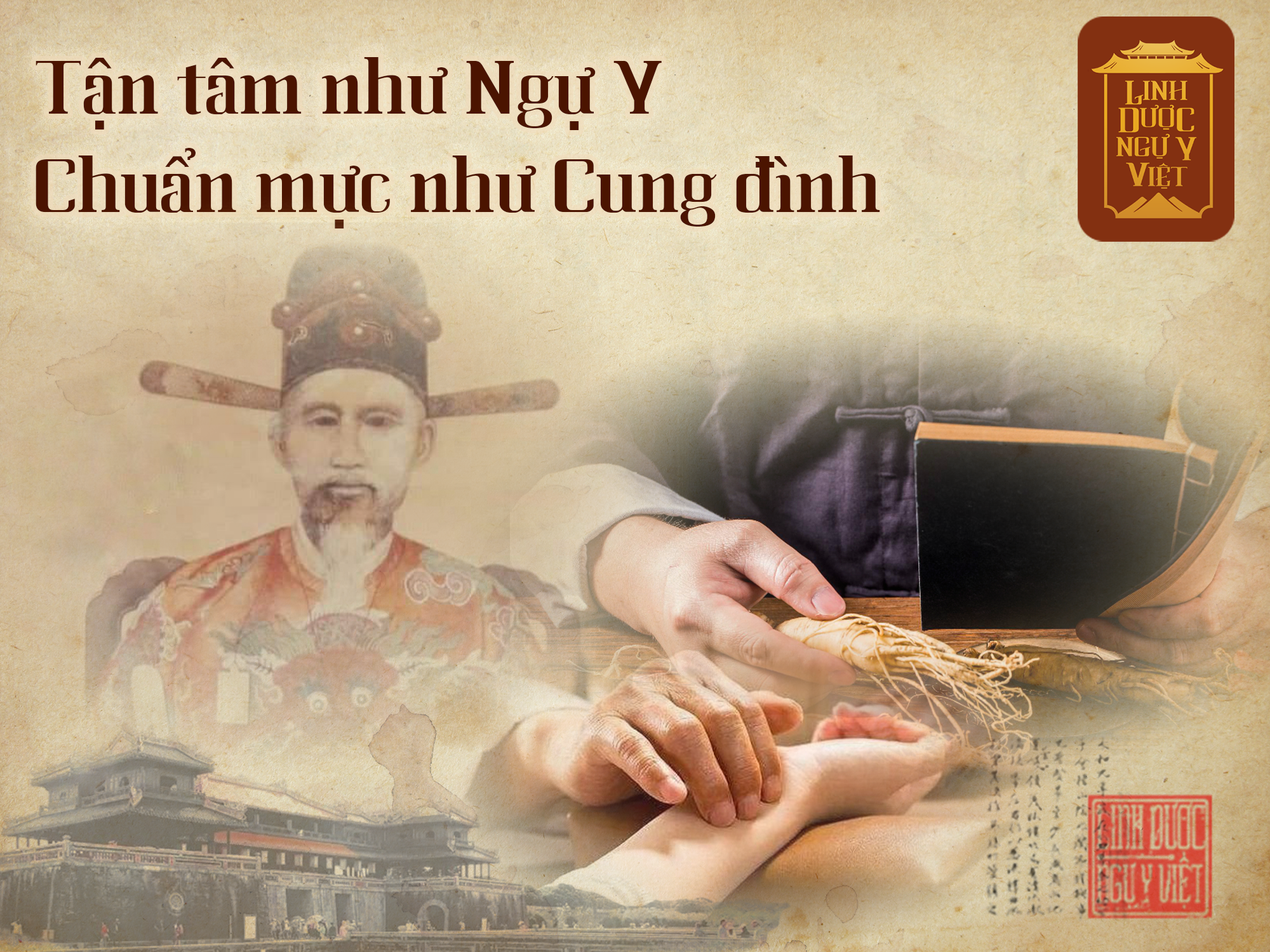 tan-tam-nhu-ngu-y-linh-duoc-ngu-y-viet