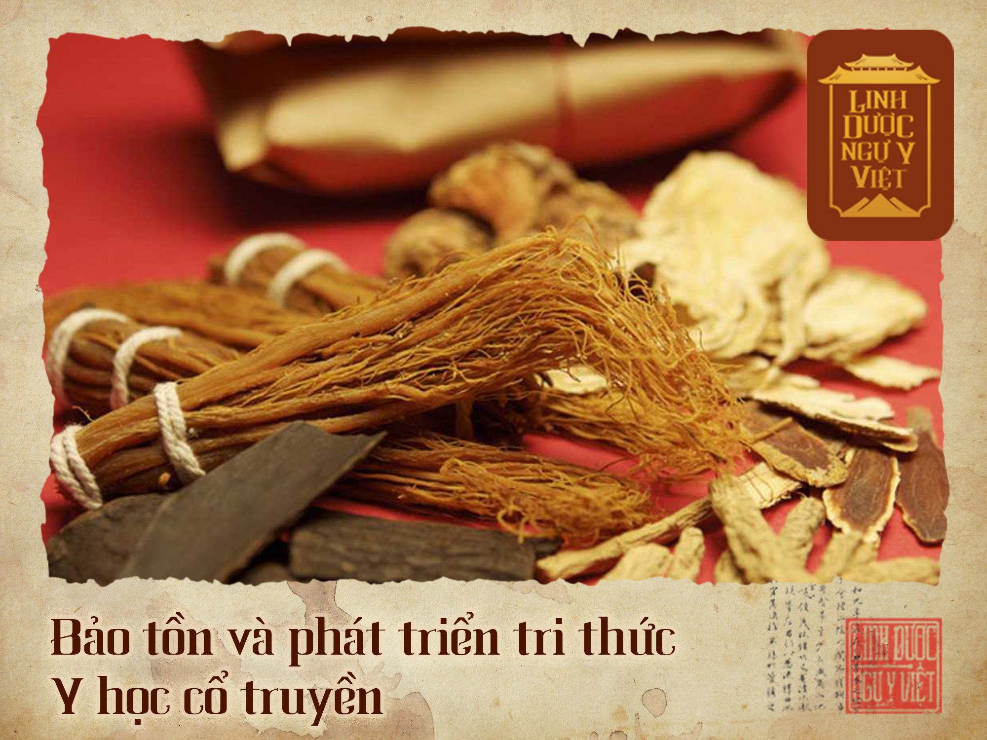 bao-ton-tri-thuc-y-hoc-co-truyen-linh-duoc-ngu-y-viet