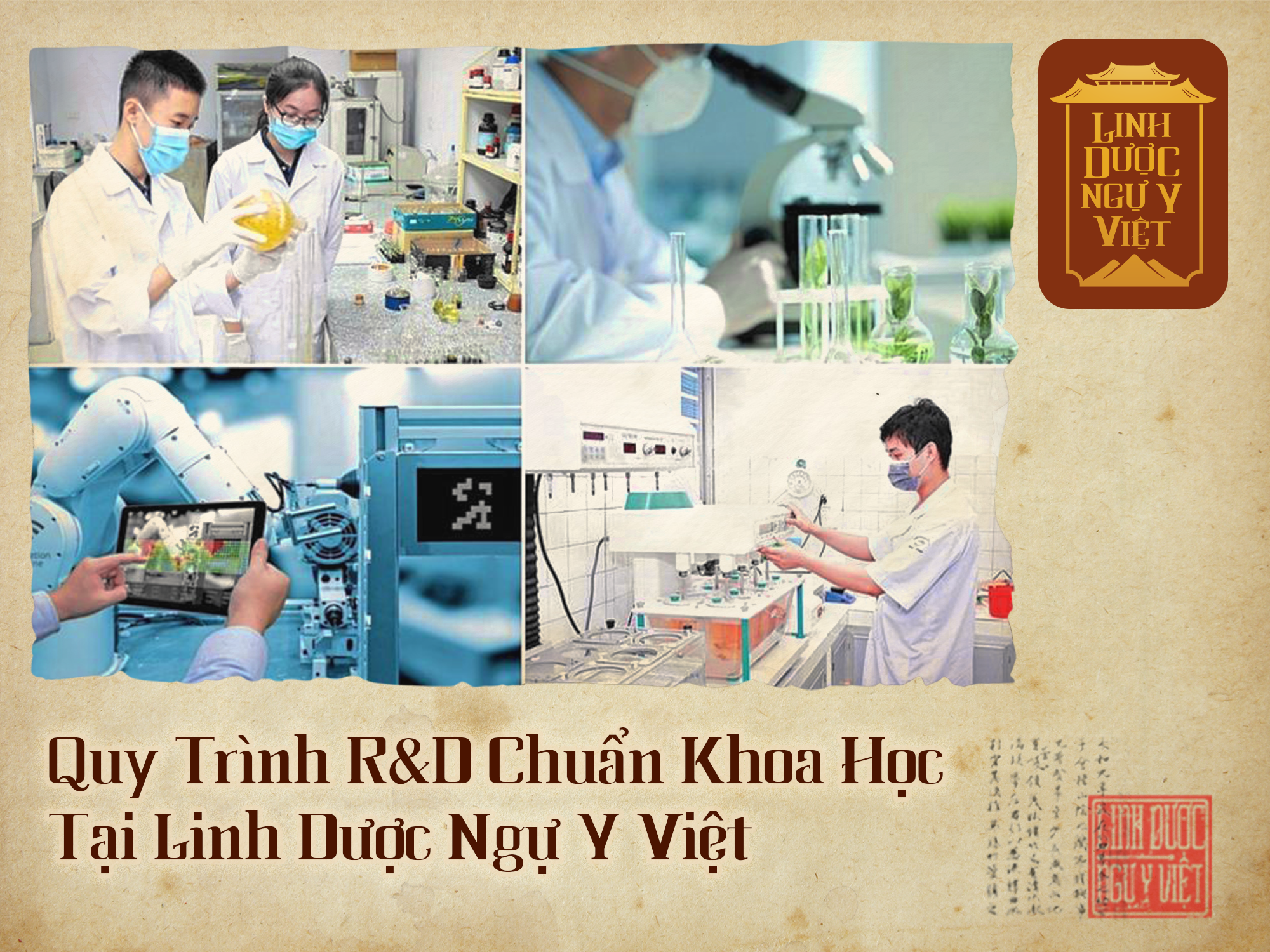 quy-trinh-rd-linh-duoc-ngu-y-viet