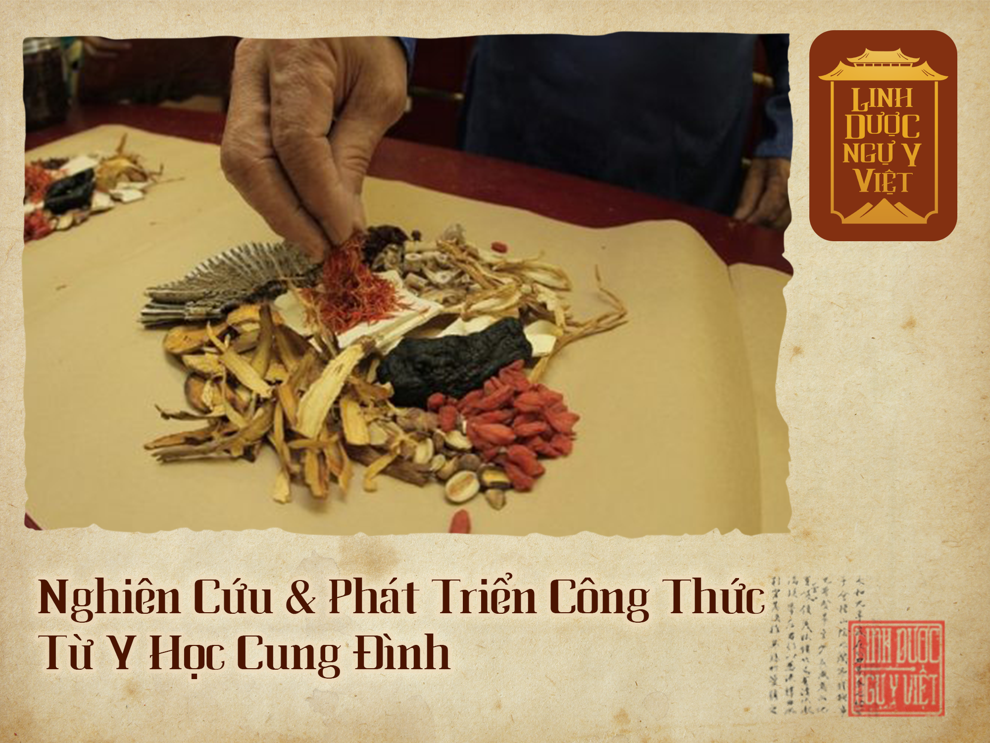 nghien-cuu-tu-y-hoc-cung-dinh