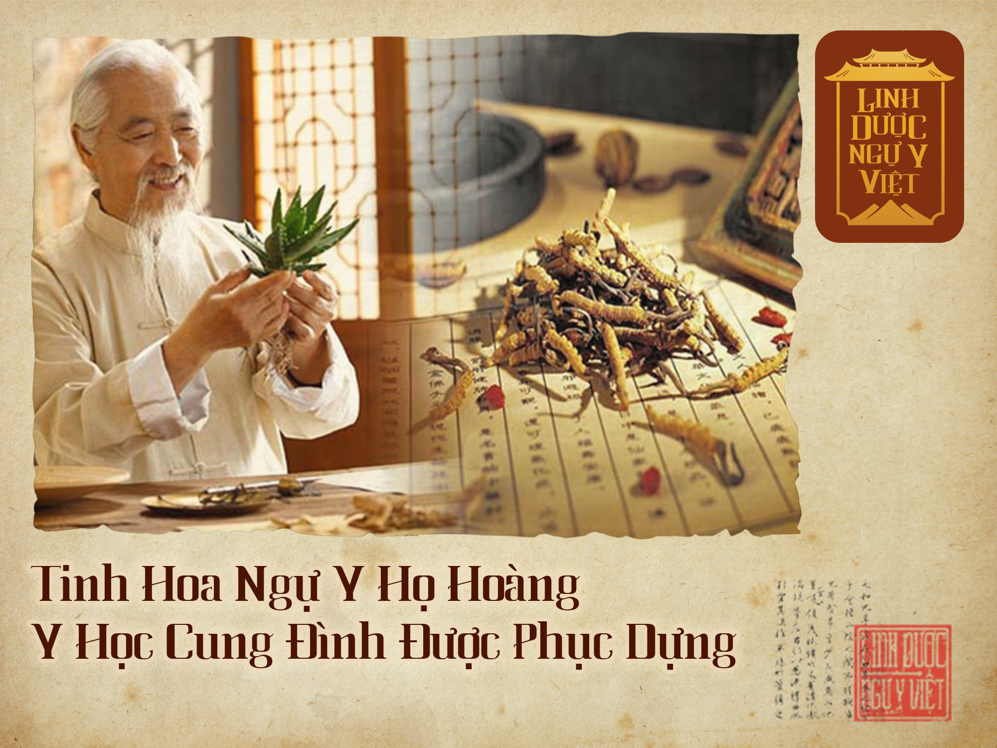 tinh-hoa-ngu-y-ho-hoang