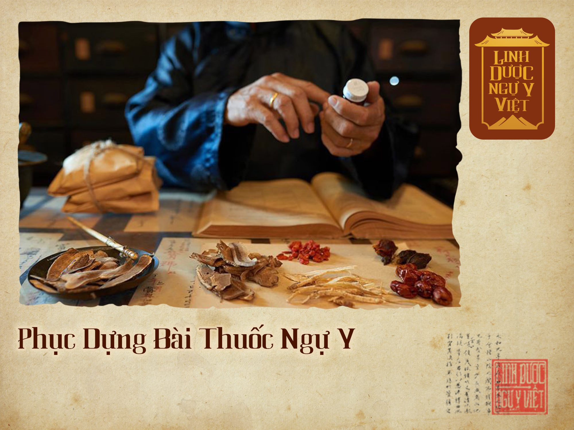 phuc-dung-bai-thuoc-ngu-y-linh-duoc-ngu-y-viet