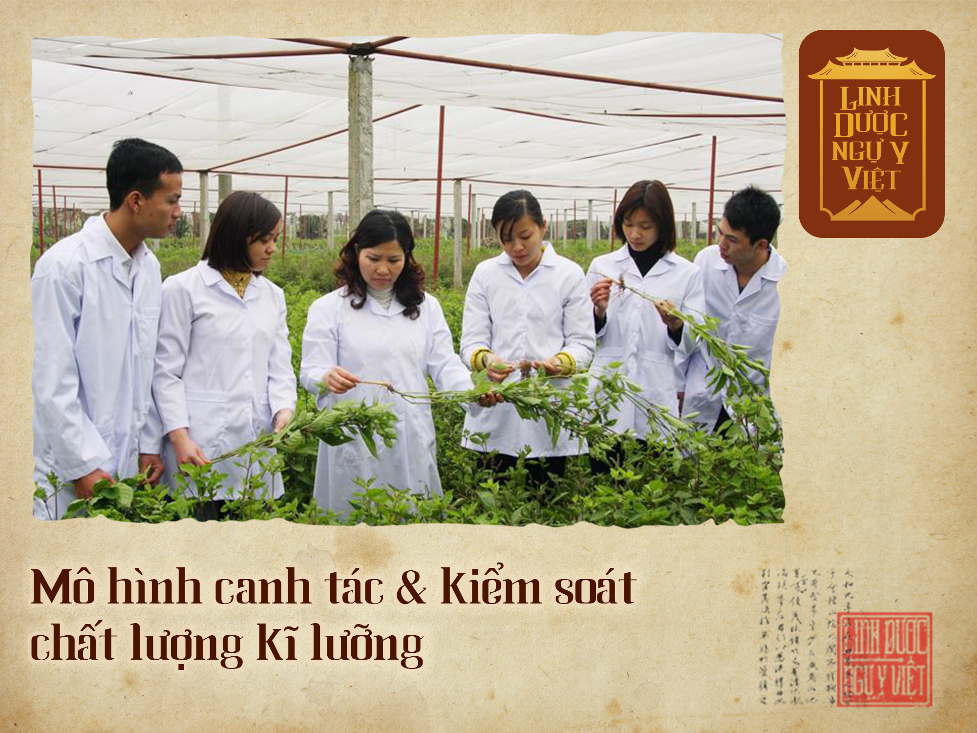 mo-hinh-kiem-soat-canh-tac-chat-luong-linh-duoc-ngu-y-viet
