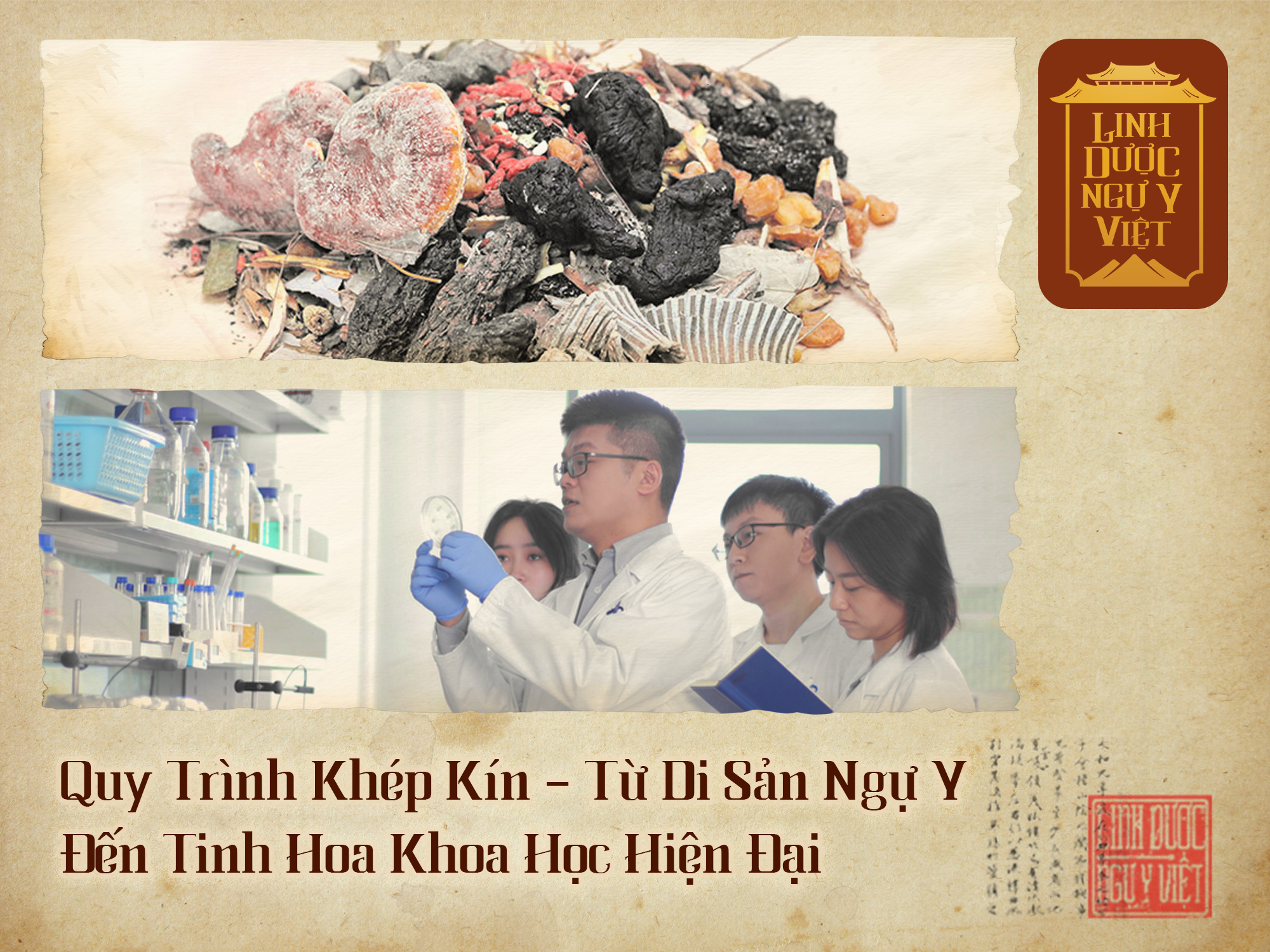 quy-trinh-san-xuat-khep-kin-linh-duoc-ngu-y-viet