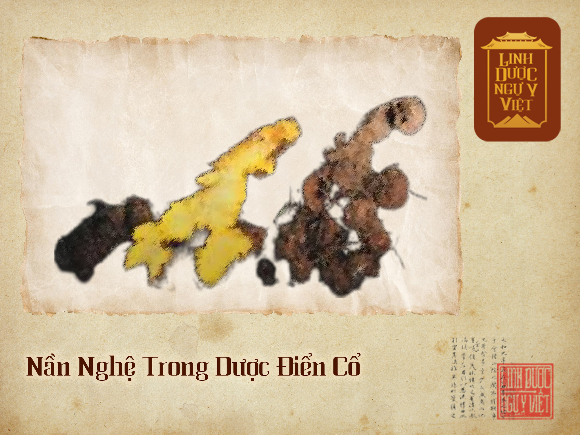 nan-nghe-trong-duoc-dien-co