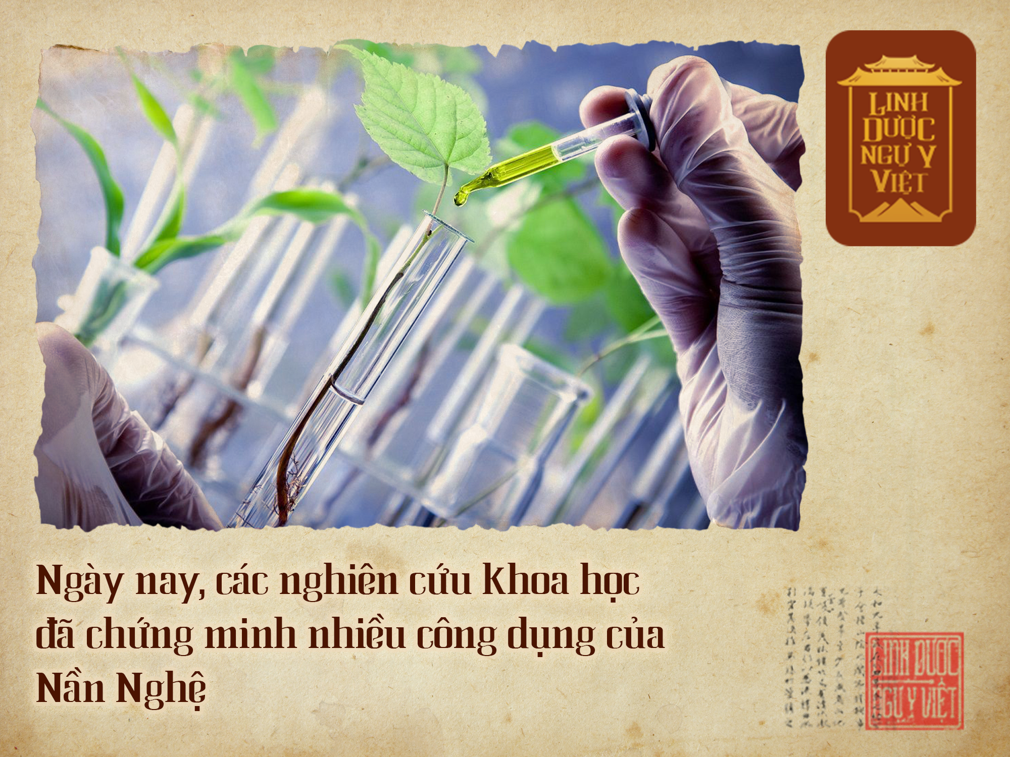cong-dung-cua-nan-nghe