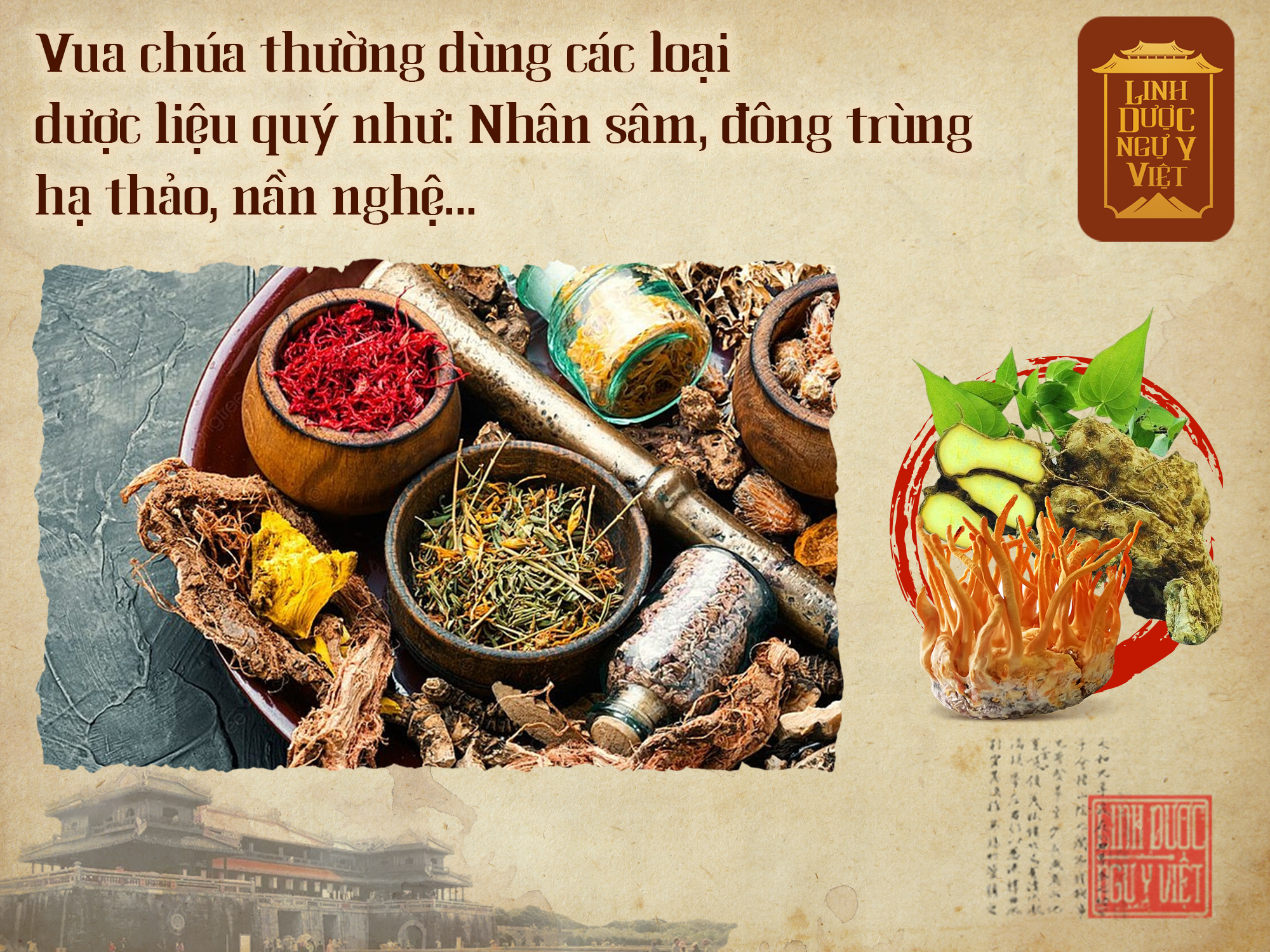 vua-chua-chon-nan-nghe