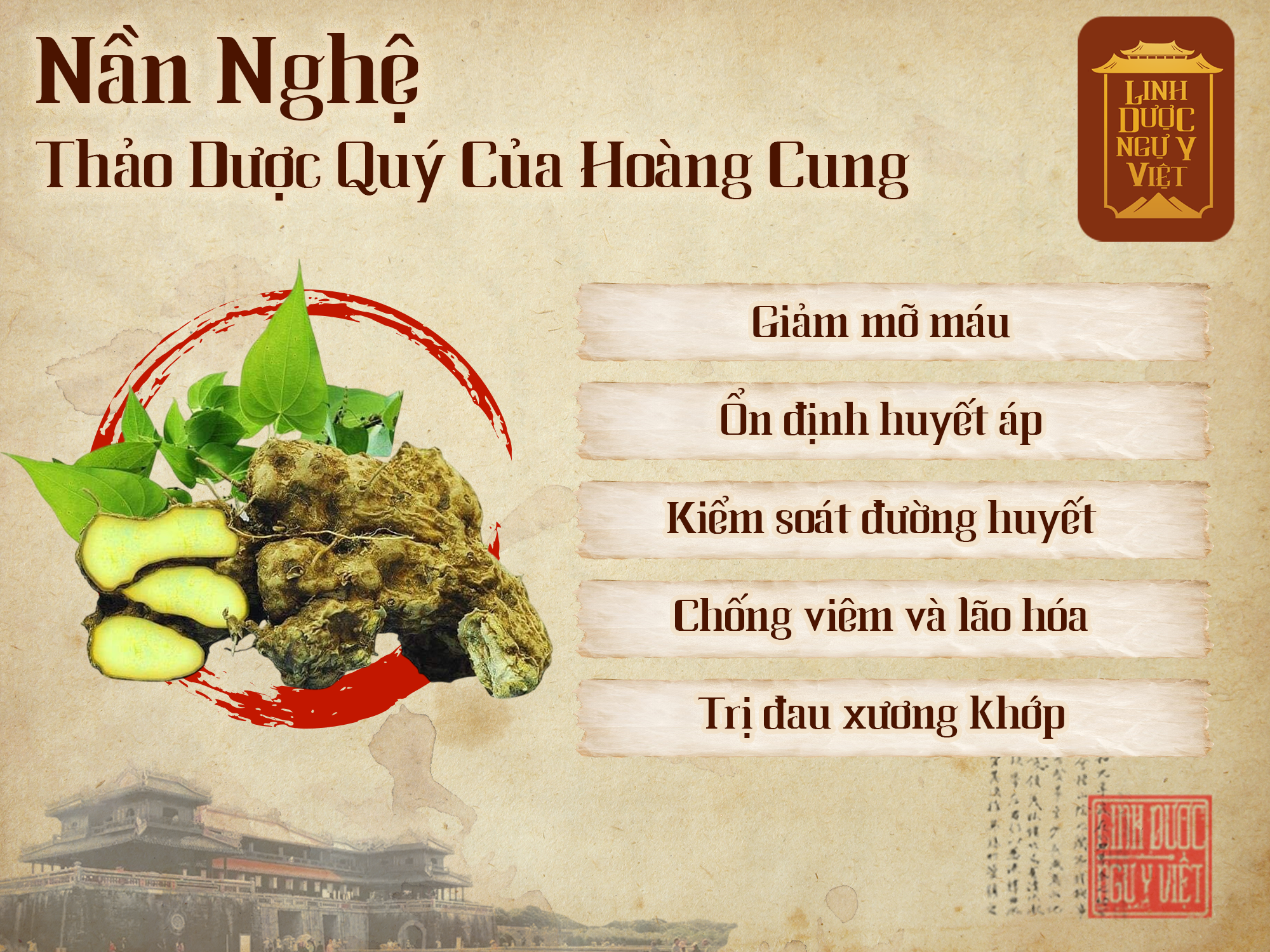 thao-duoc-quy-nan-nghe