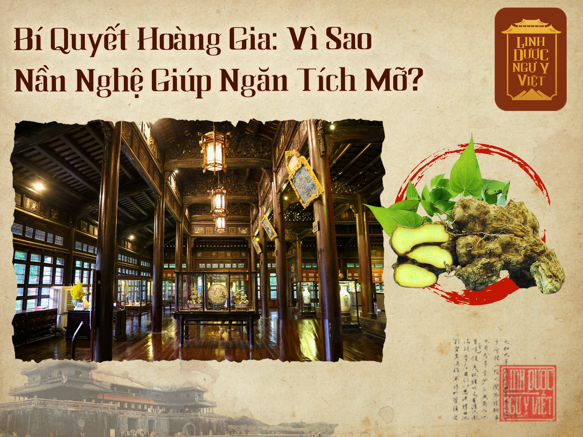 bi-quyet-hoang-gia-tu-nan-nghe
