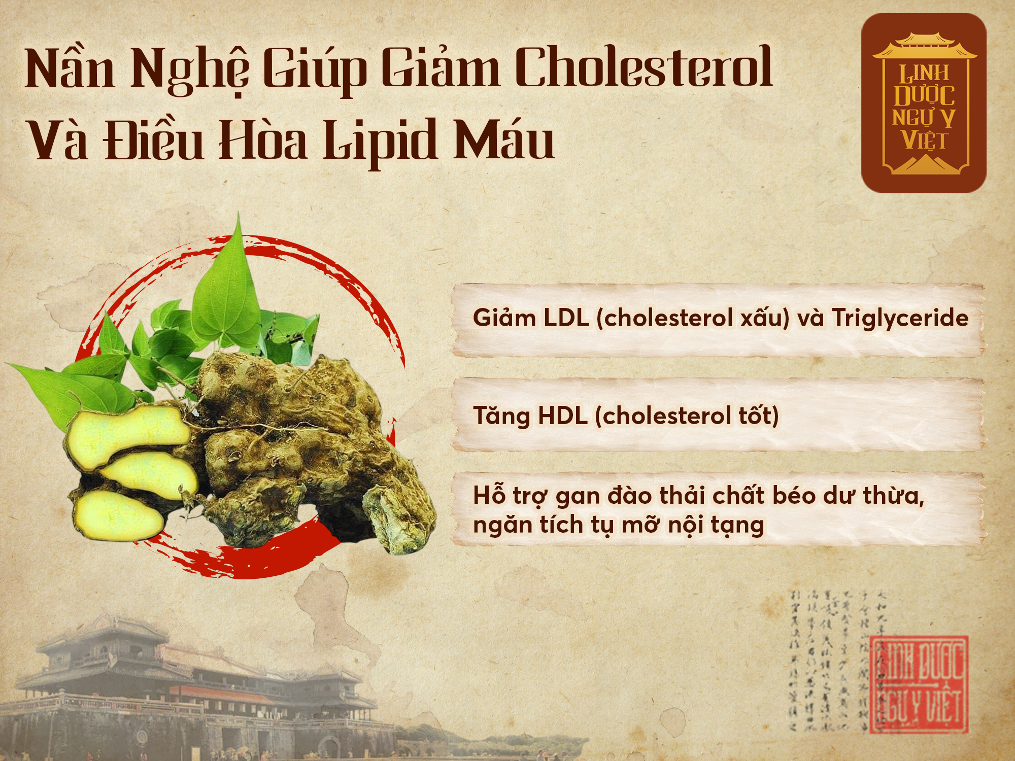 nan-nghe-giup-giam-cholesterol
