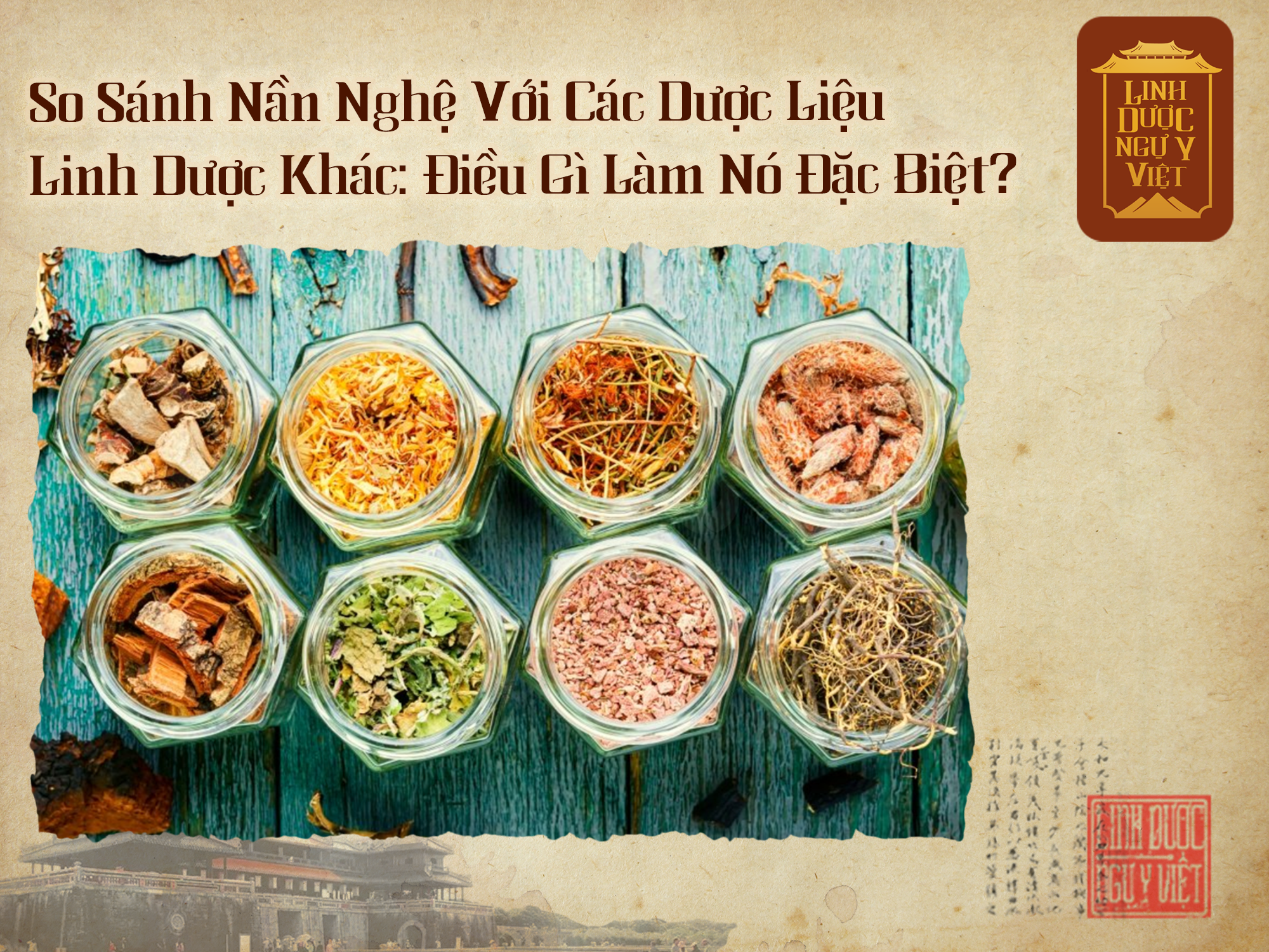 so-sanh-nan-nghe