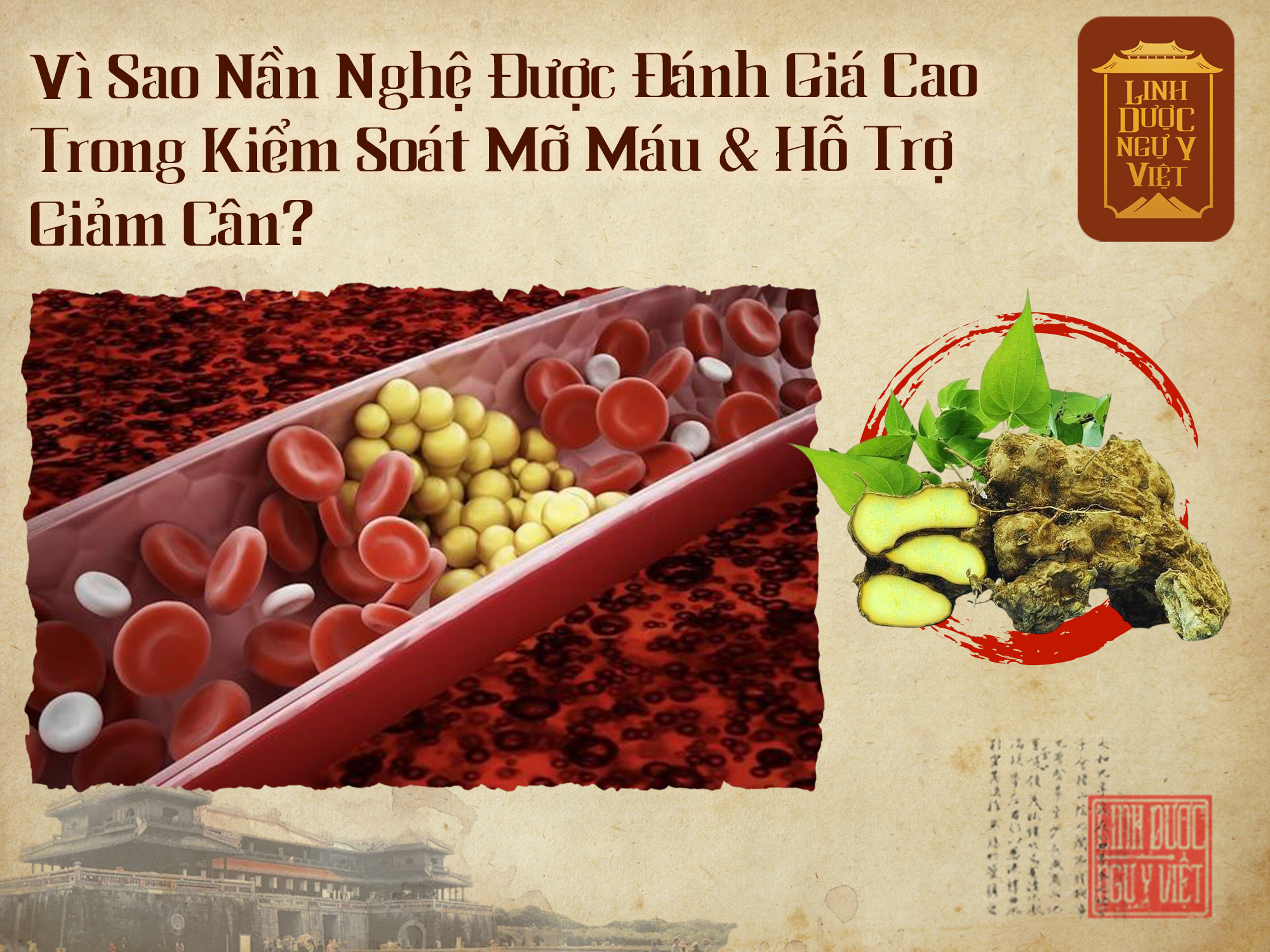 danh-gia-nan-nghe