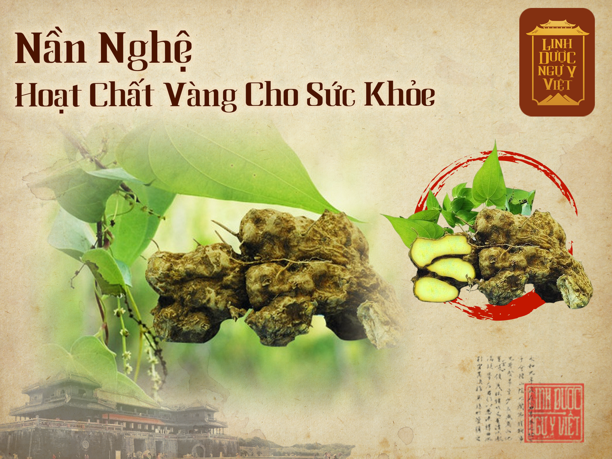 nan-nghe-voi-suc-khoe
