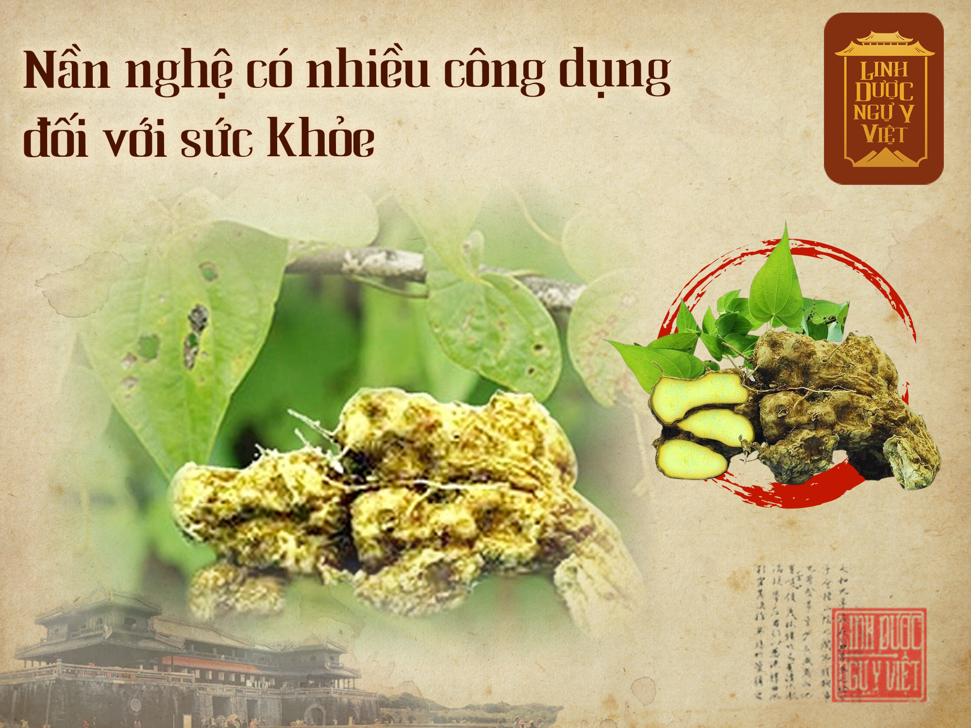 cong-dung-nan-ve-voi-suc-khoe