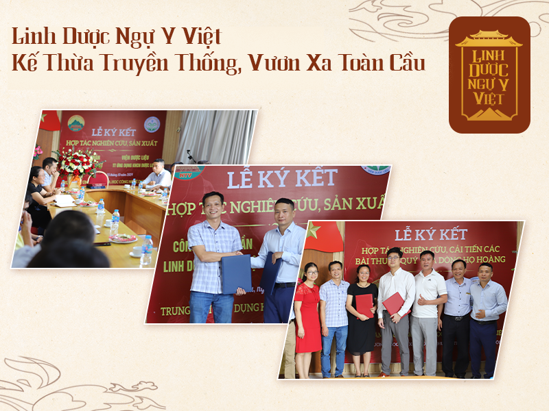 Câu Chuyện Thương Hiệu: Linh Dược Ngự Y Việt - Hồi Sinh Di Sản, Vươn Xa Toàn Cầu
