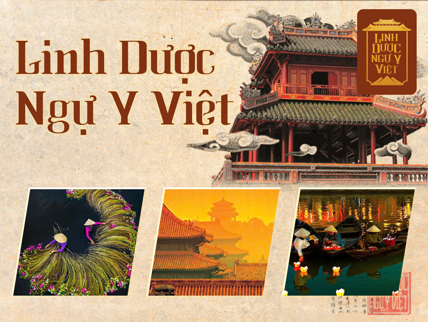Giới Thiệu Linh Dược Ngự Y Việt
